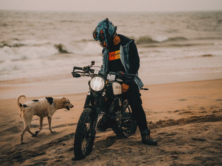 Embracing the Wild: Finding Serenity in Outdoor Adventures